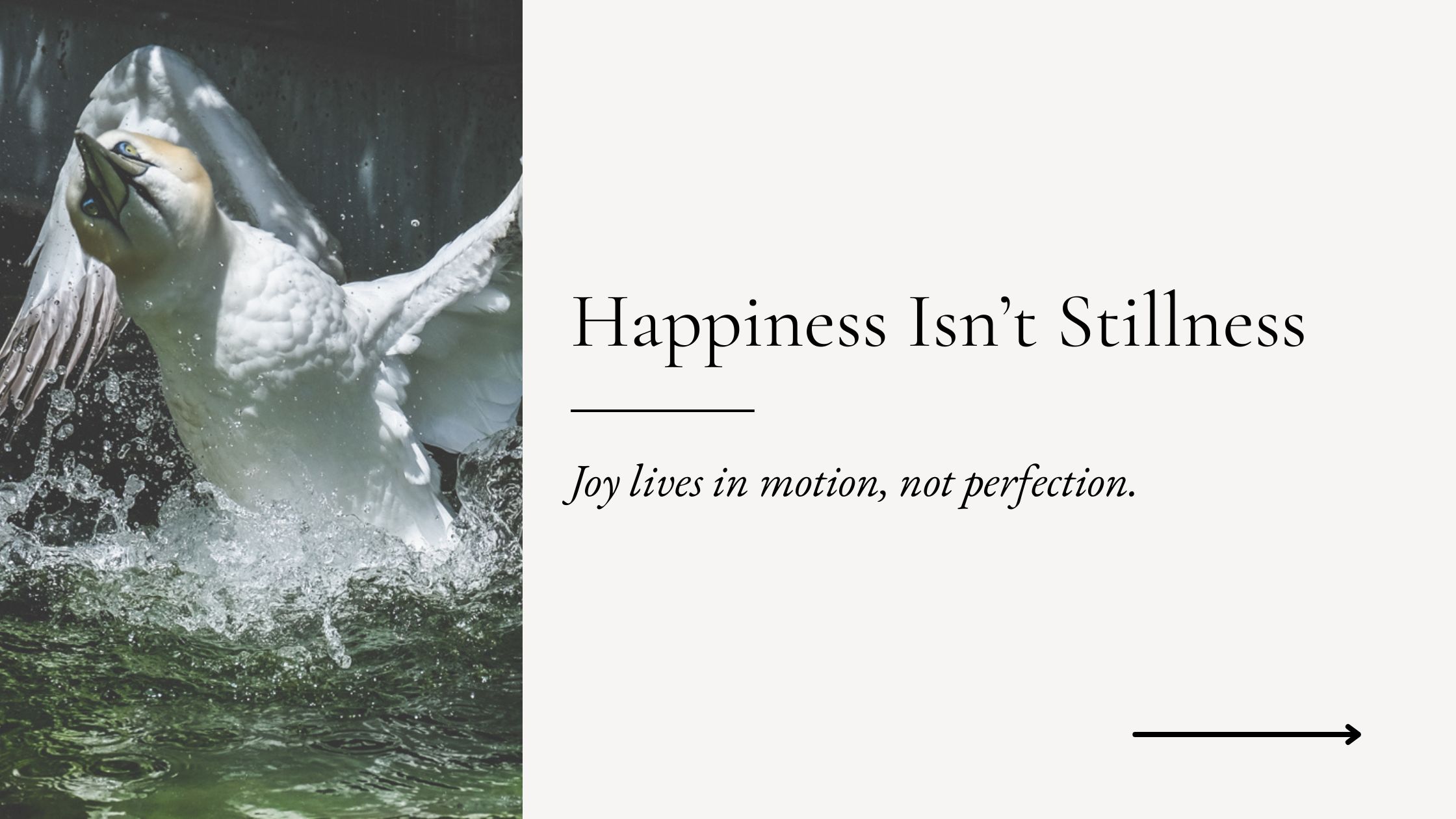 happiness in motion