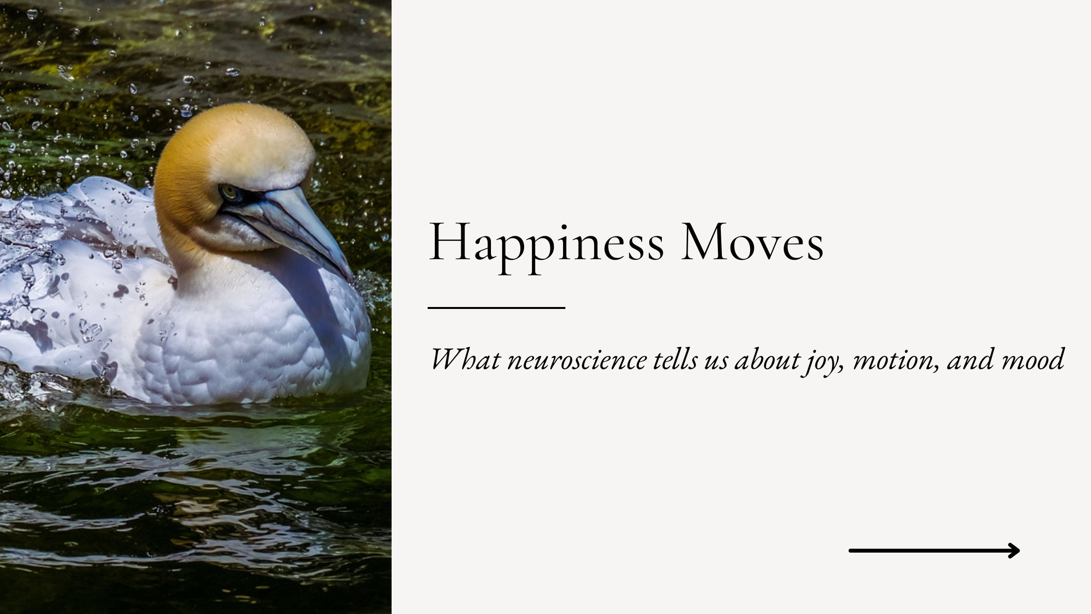 The Science Behind Happiness in Motion