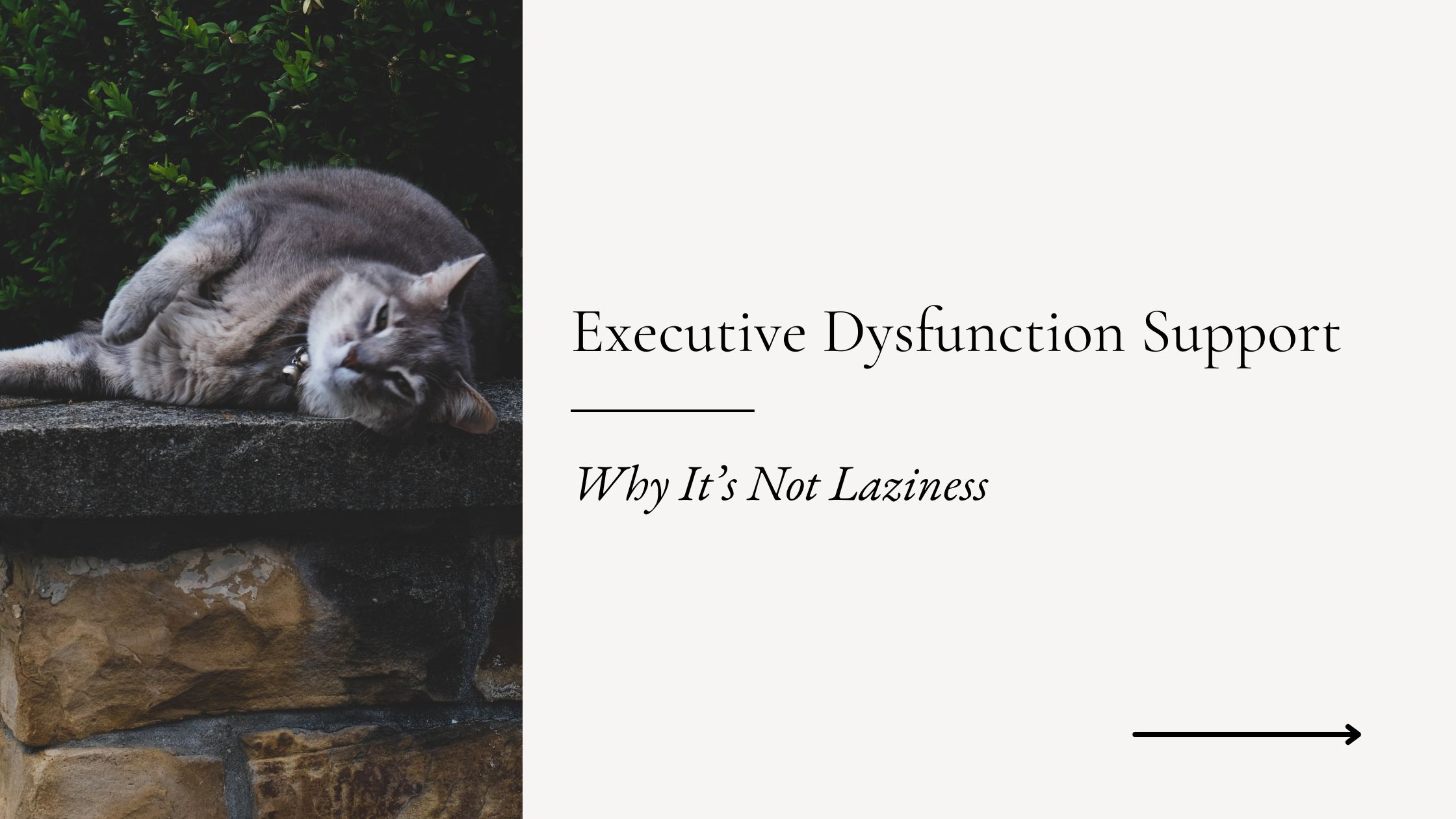 Executive Dysfunction Support: Why It’s Not Laziness